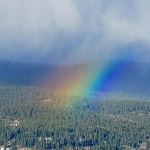 Meet your Posher, Sharae